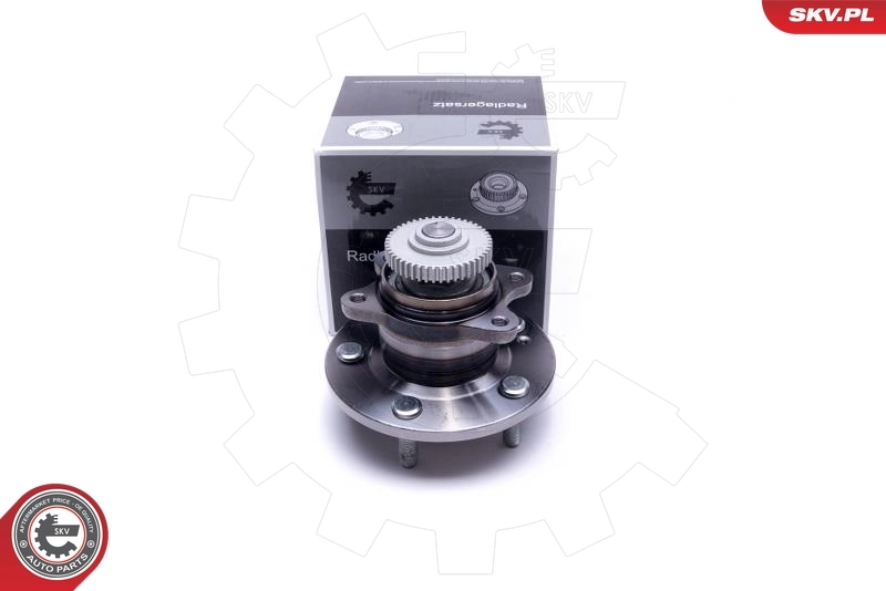 Wheel Bearing Kit